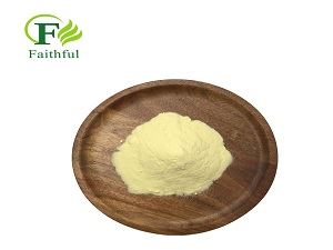 Real shot pictures of Camptosar powder.jpg Real shot pictures of Camptosar powder.jpg