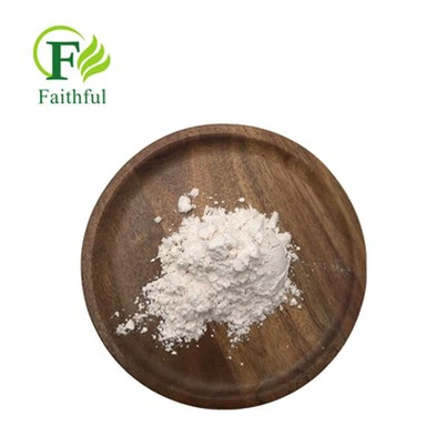 Pramiracetam Bulk Powder Cas 68497-62-1